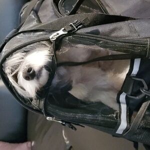 Luxury Portable Pet Carrier Sterns & Foster in Black Or Grey (Airline Approved)